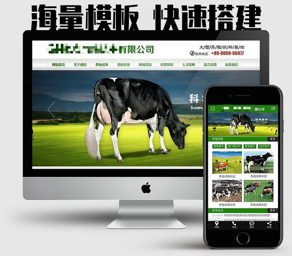 菏澤網(wǎng)站建設(shè)制作每年怎么收費